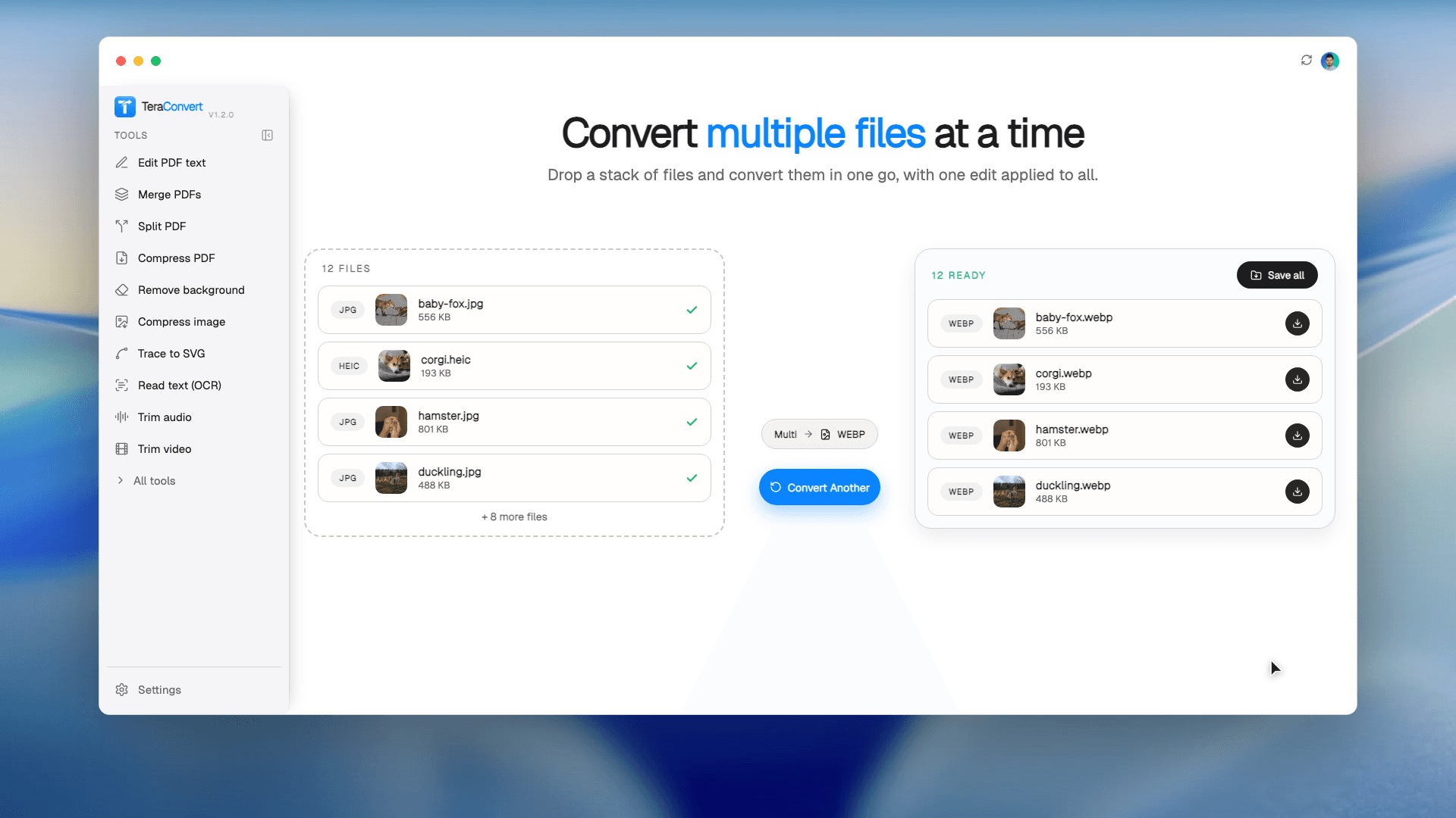Terra Convert screenshot 4