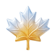 CELPIP Practice logo